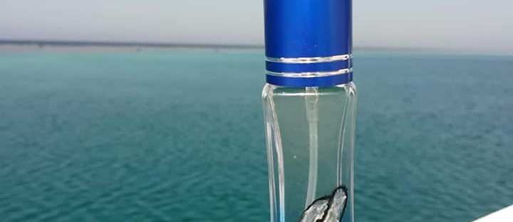 Essenza-profumo-delfini